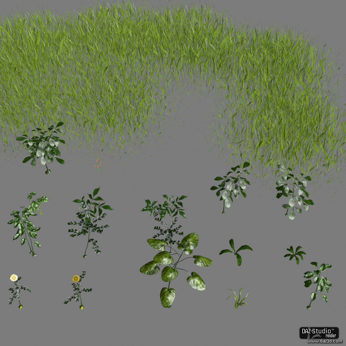 Solid Plants by N/A