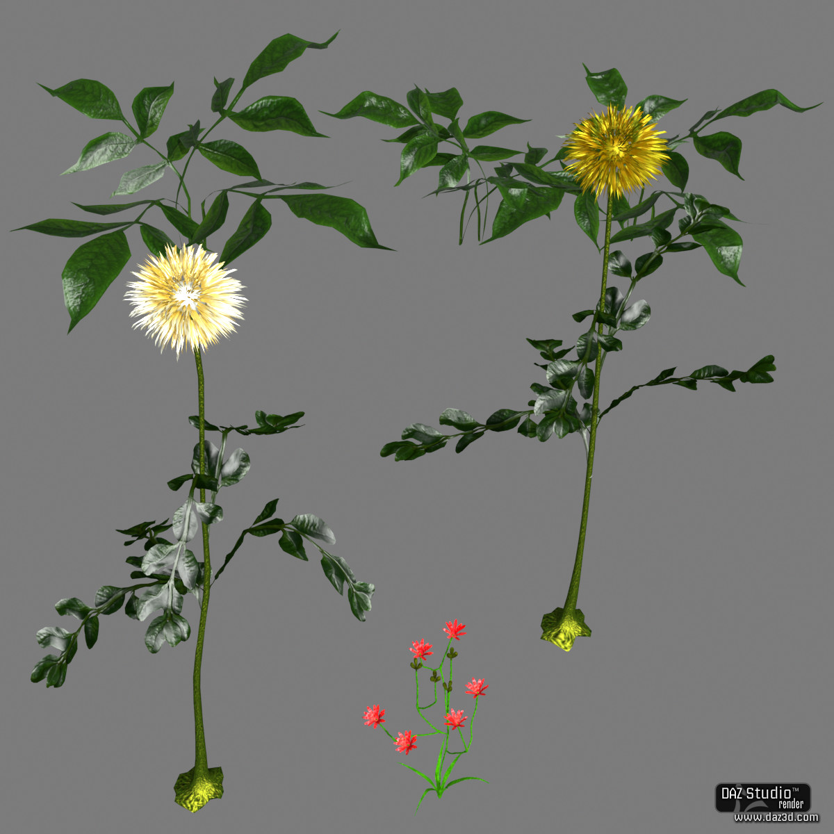 Solid Plants by N/A