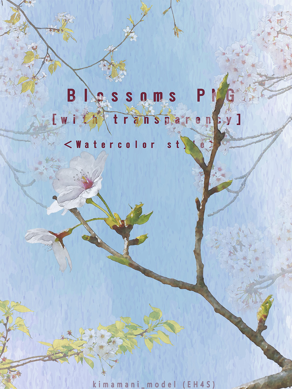 Watercolor Style Blossoms PNG with transparency by N/A