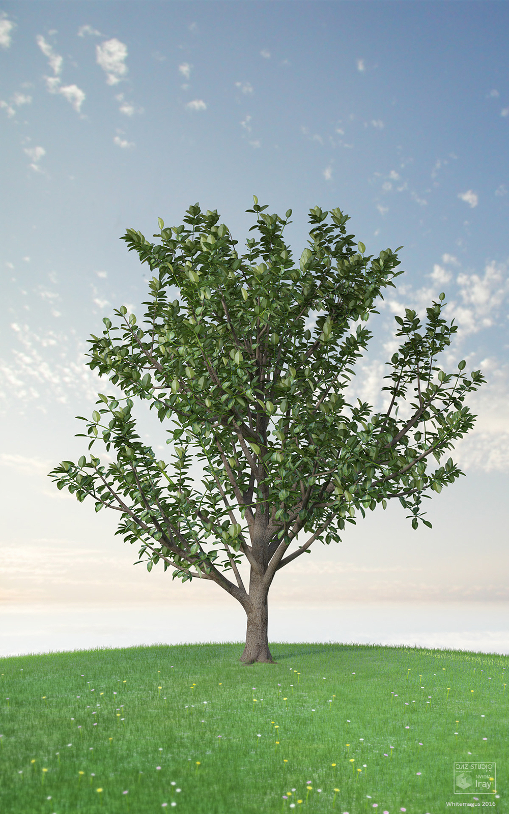 Trees Rubber Fig by N/A