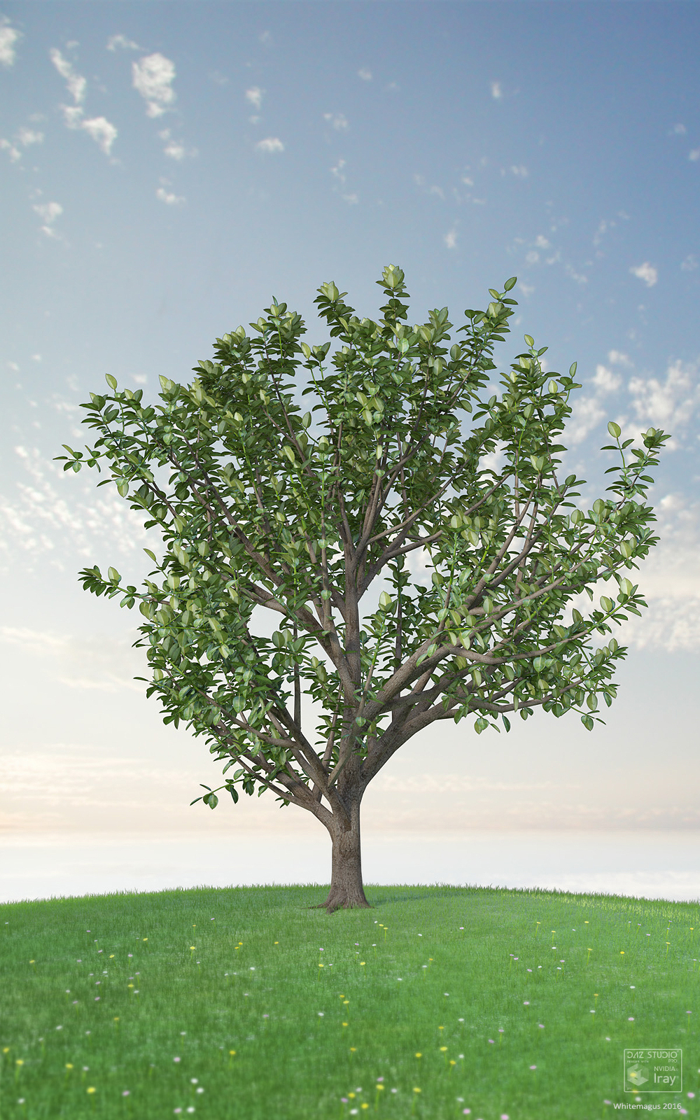 Trees Rubber Fig by N/A