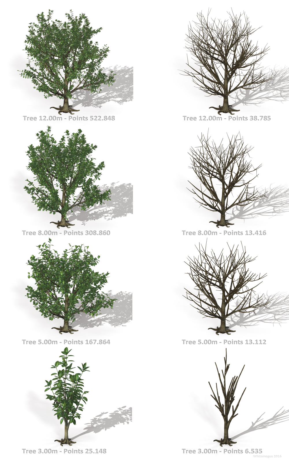 Trees Rubber Fig by N/A
