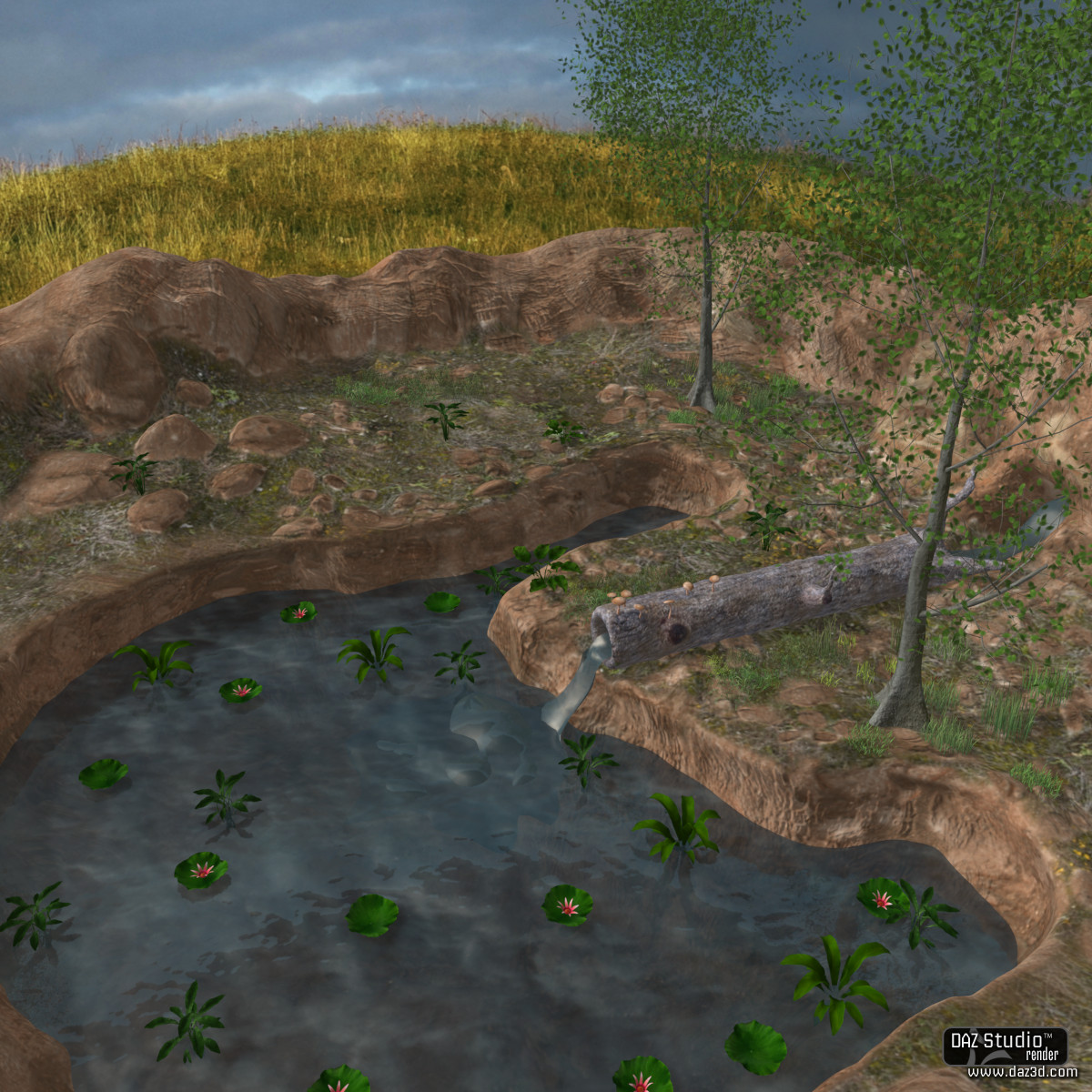The Pond by N/A