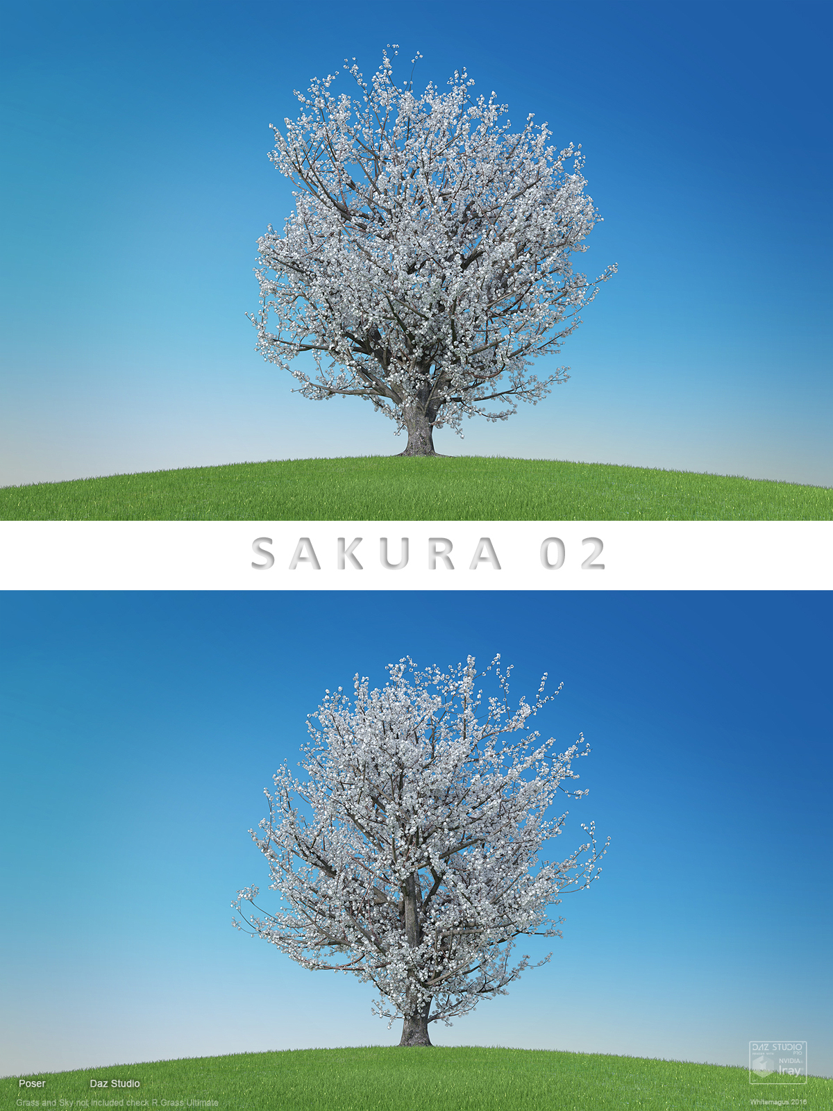 Sakura 02 by N/A