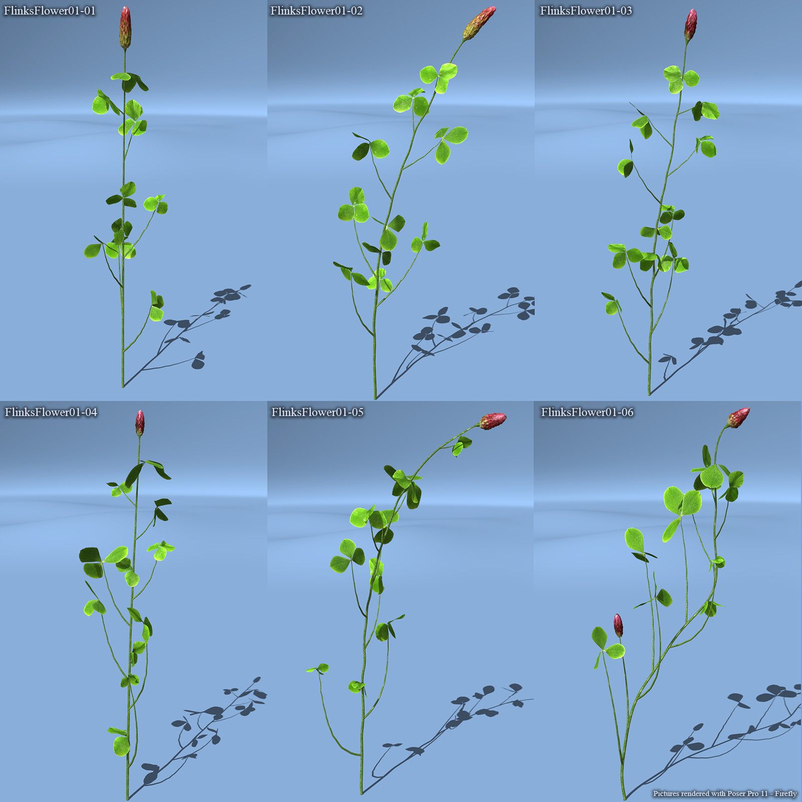 Flinks Flowers - Flower 1 - Red Feather Clover by N/A
