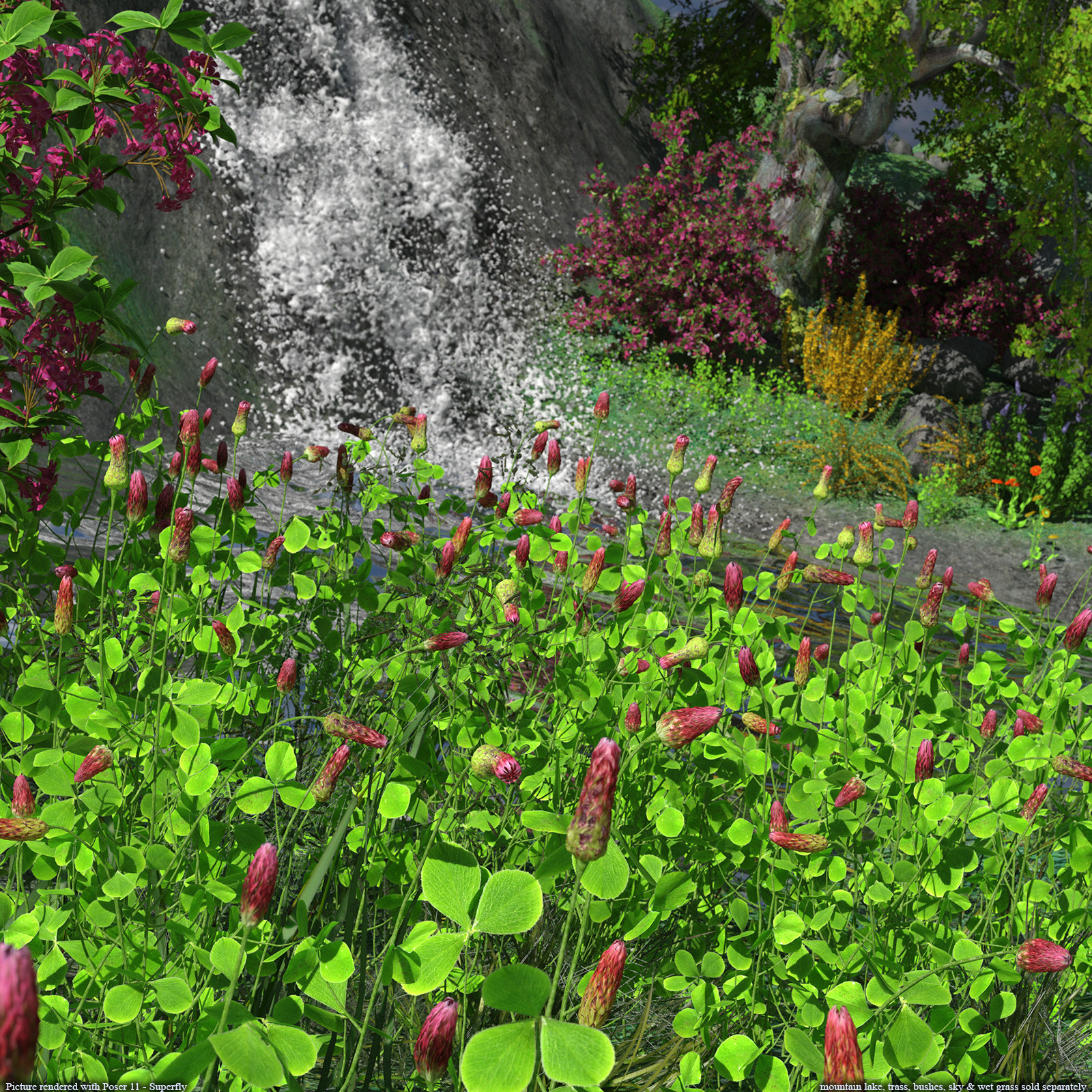 Flinks Flowers - Flower 1 - Red Feather Clover by N/A