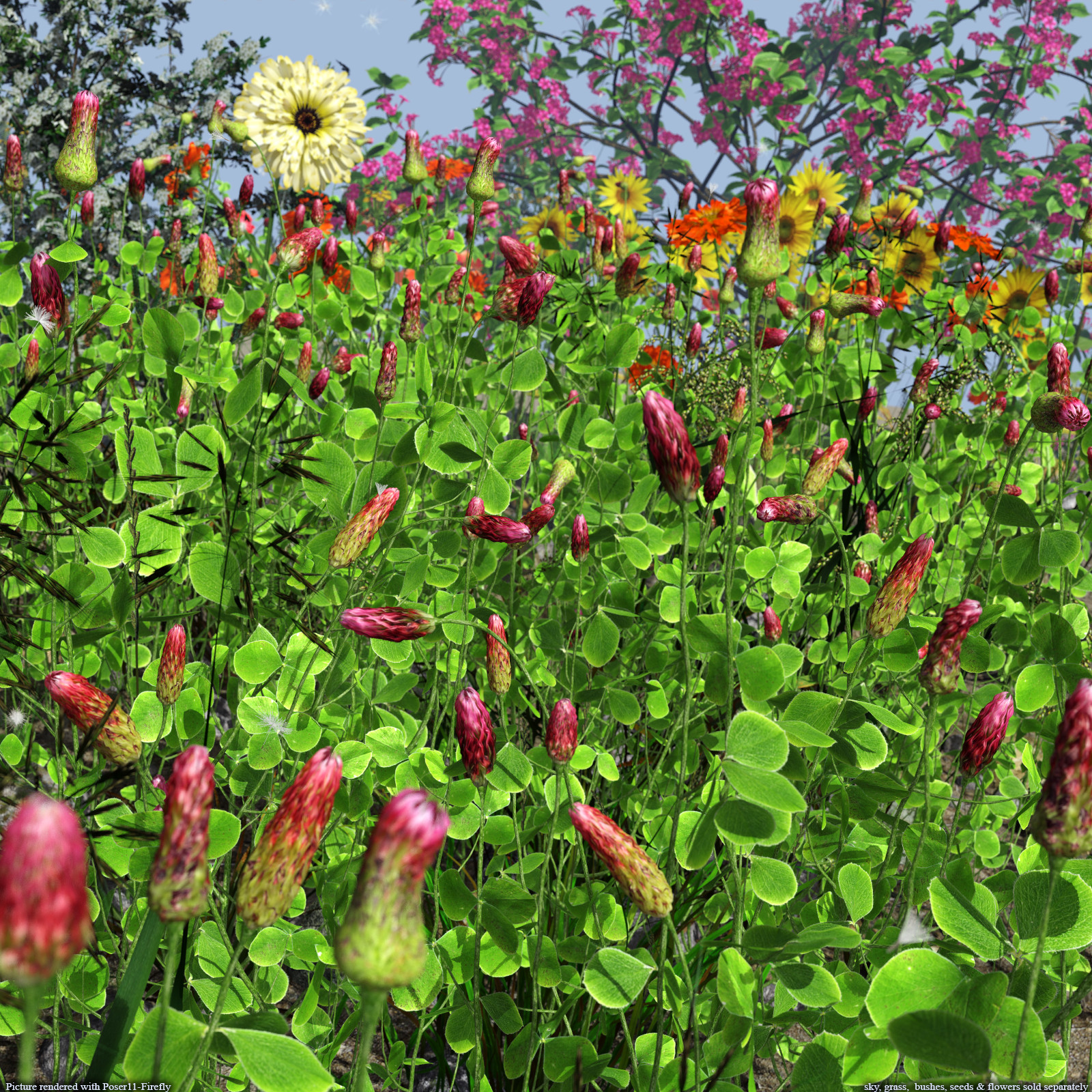 Flinks Flowers - Flower 1 - Red Feather Clover by N/A