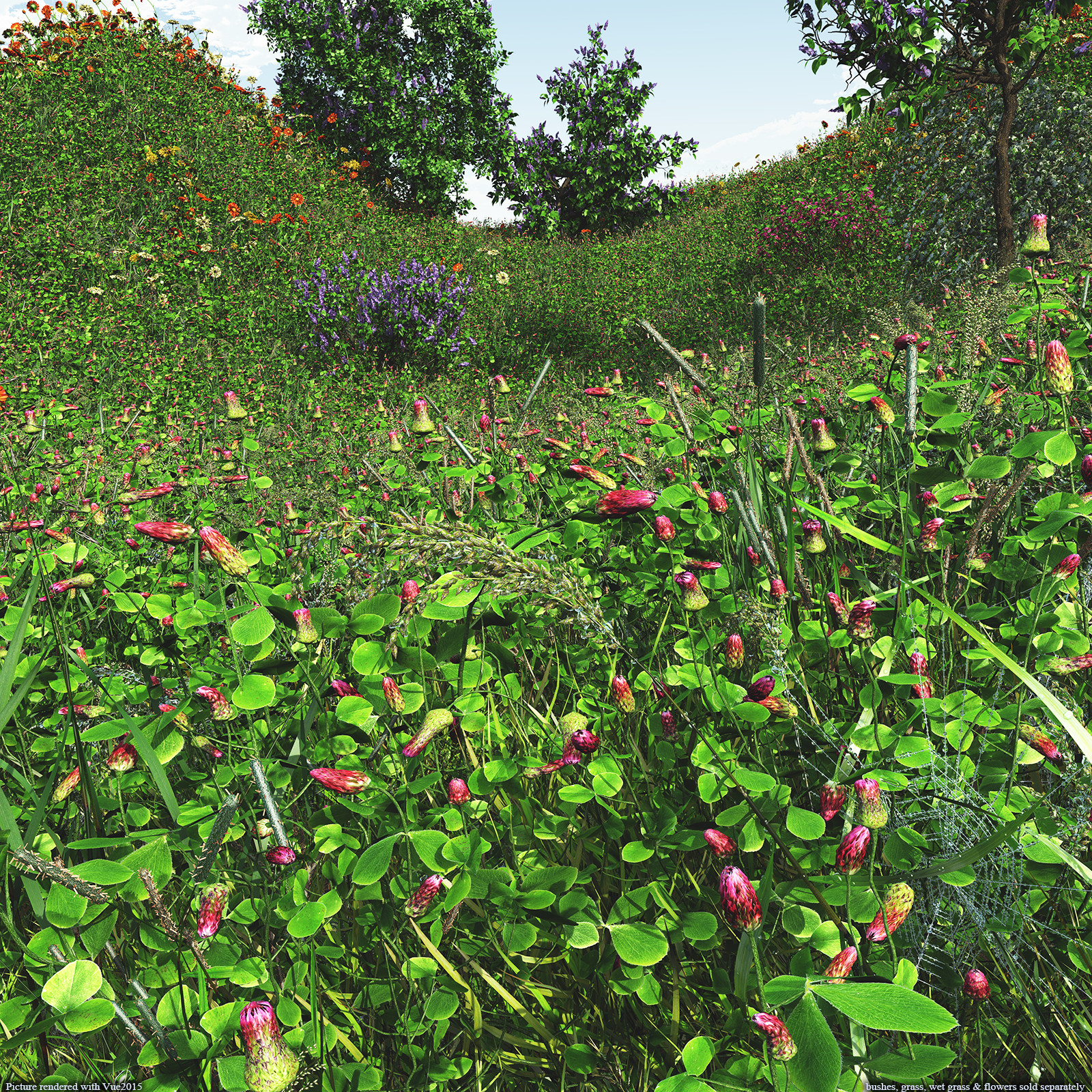 Flinks Flowers - Flower 1 - Red Feather Clover by N/A