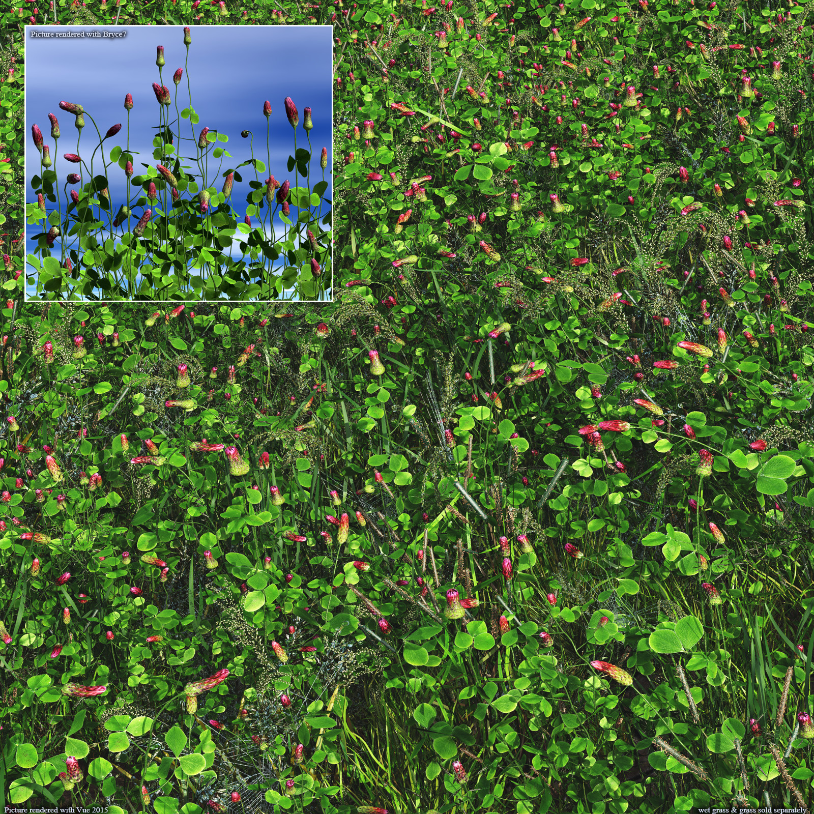 Flinks Flowers - Flower 1 - Red Feather Clover by N/A