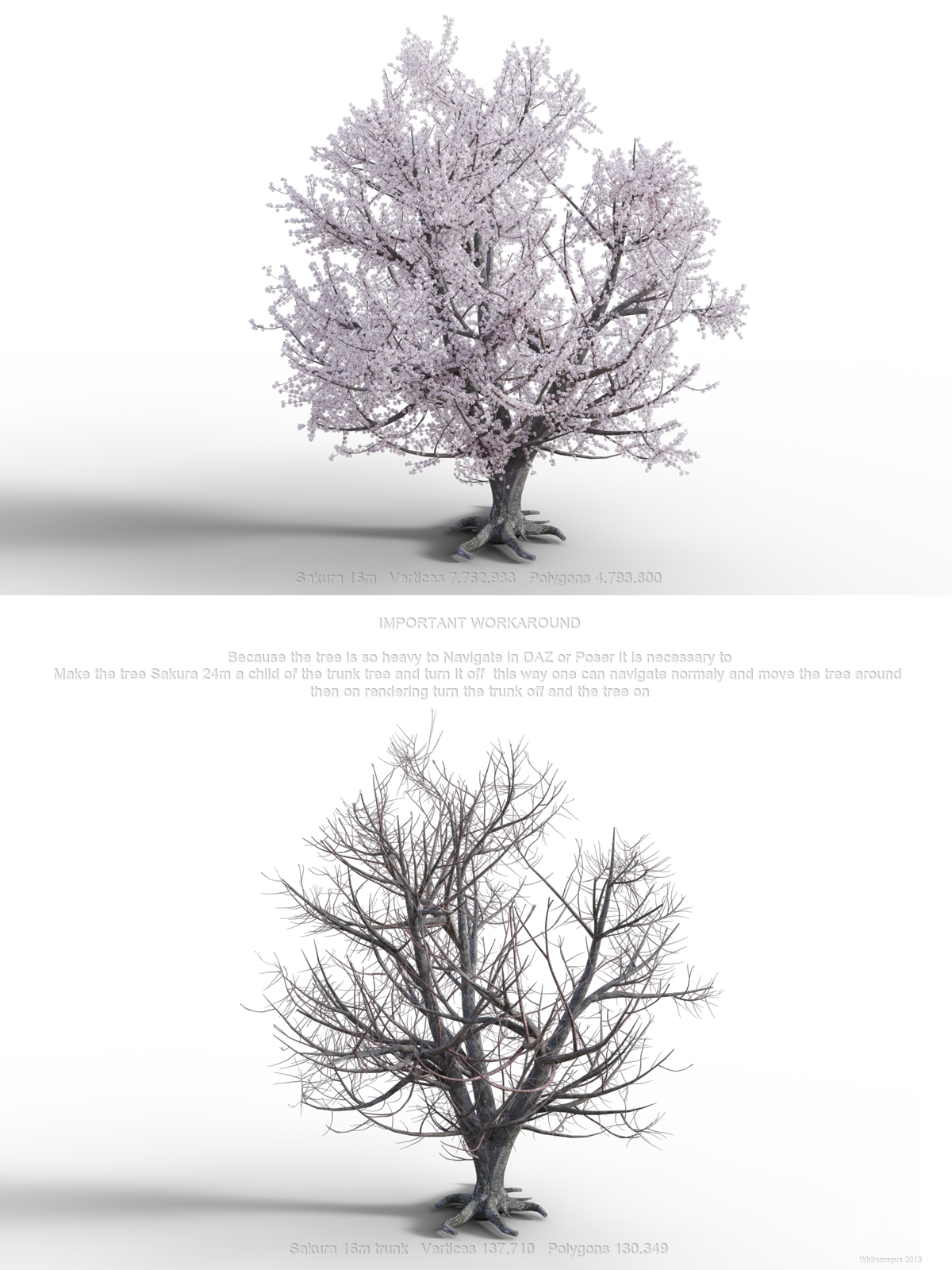 Sakura 03 by N/A