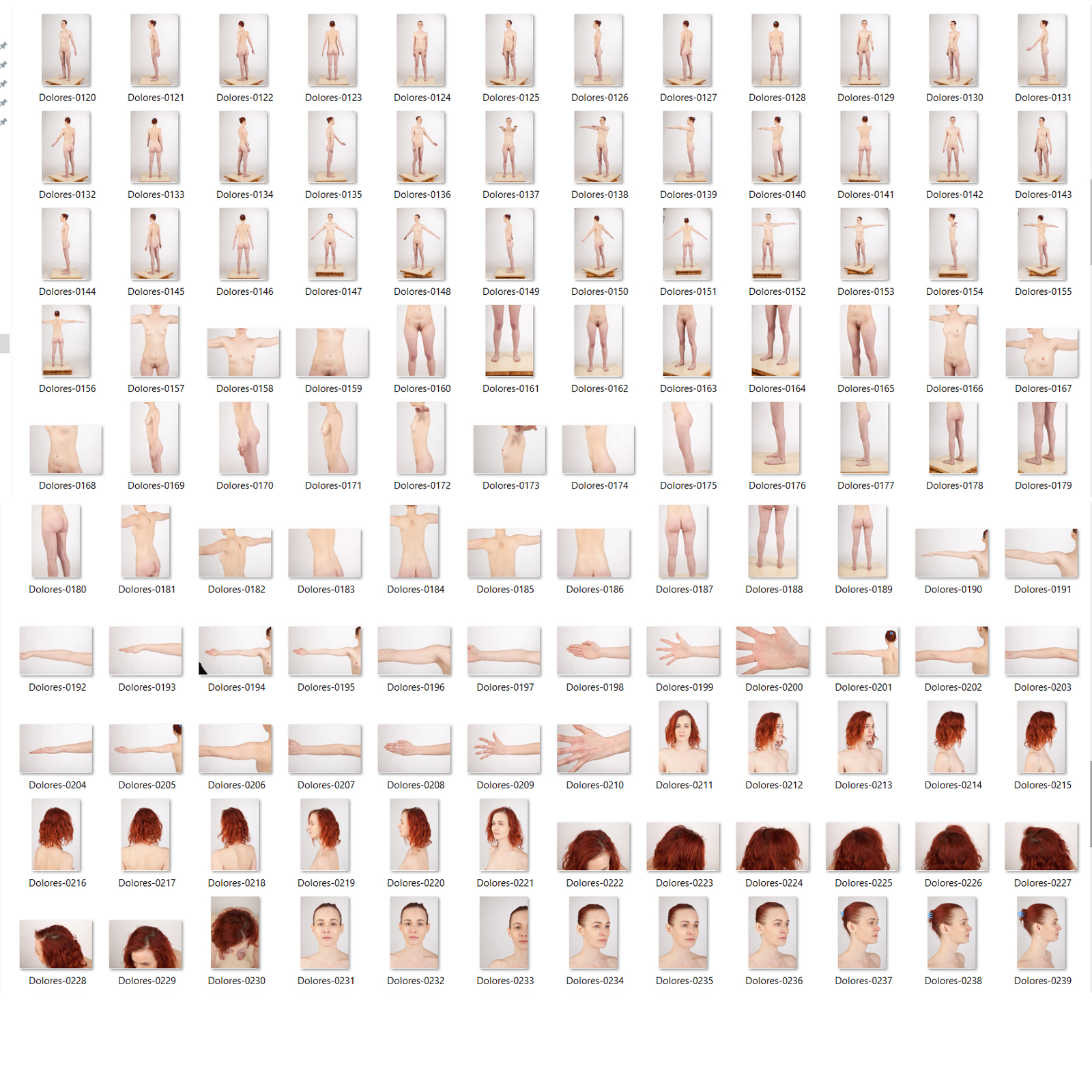 Dolores: Nude Female Full Figure Photo References by N/A