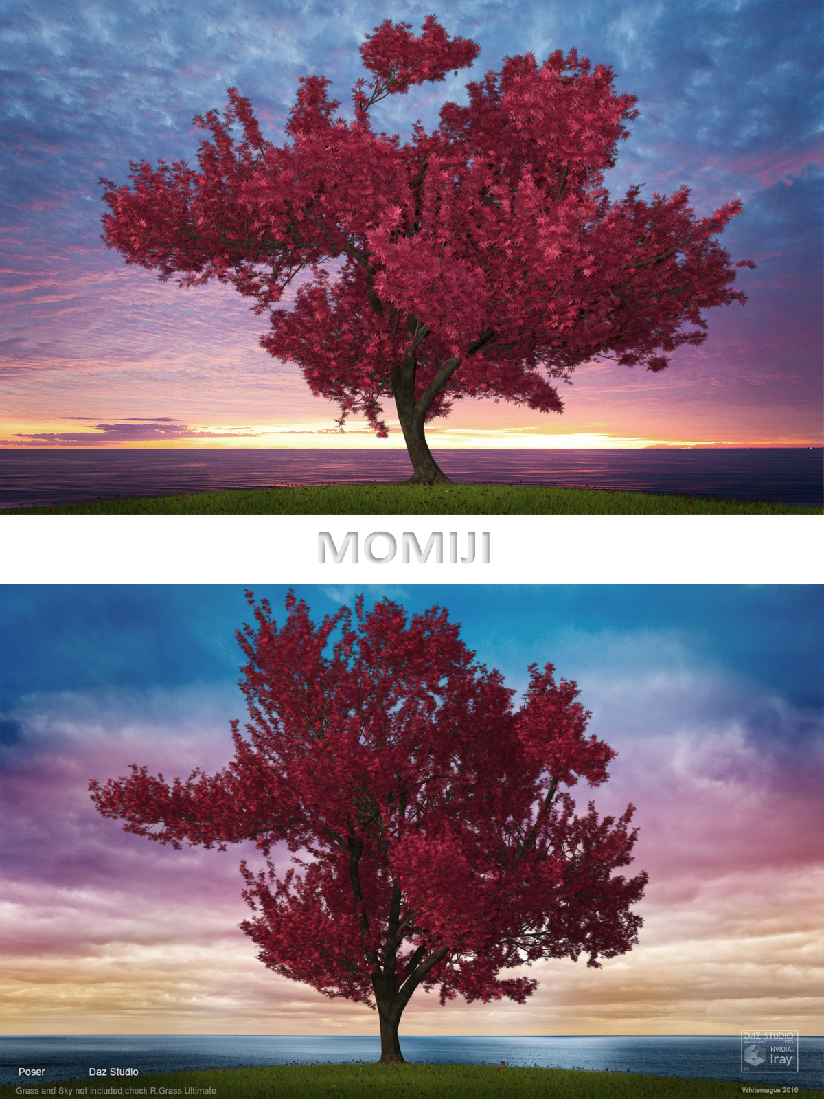 Momiji by N/A