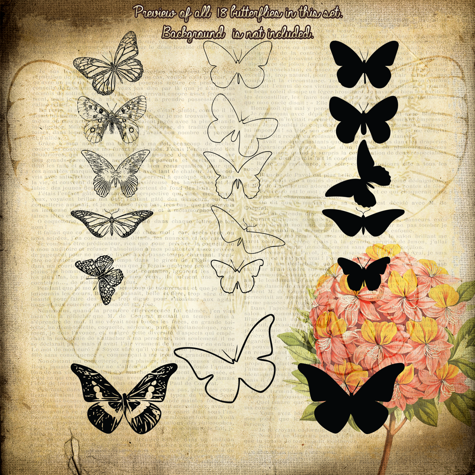 FB Butterflies 1 Set of Brushes, Shapes, Vectors, PNGs - Merchant Resource by N/A