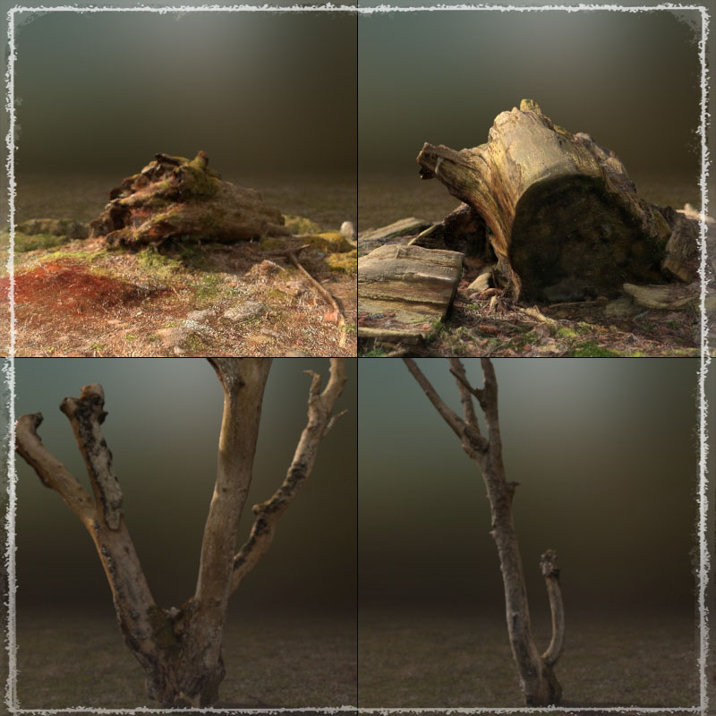 3D Scenery: Drywood Ruins by N/A