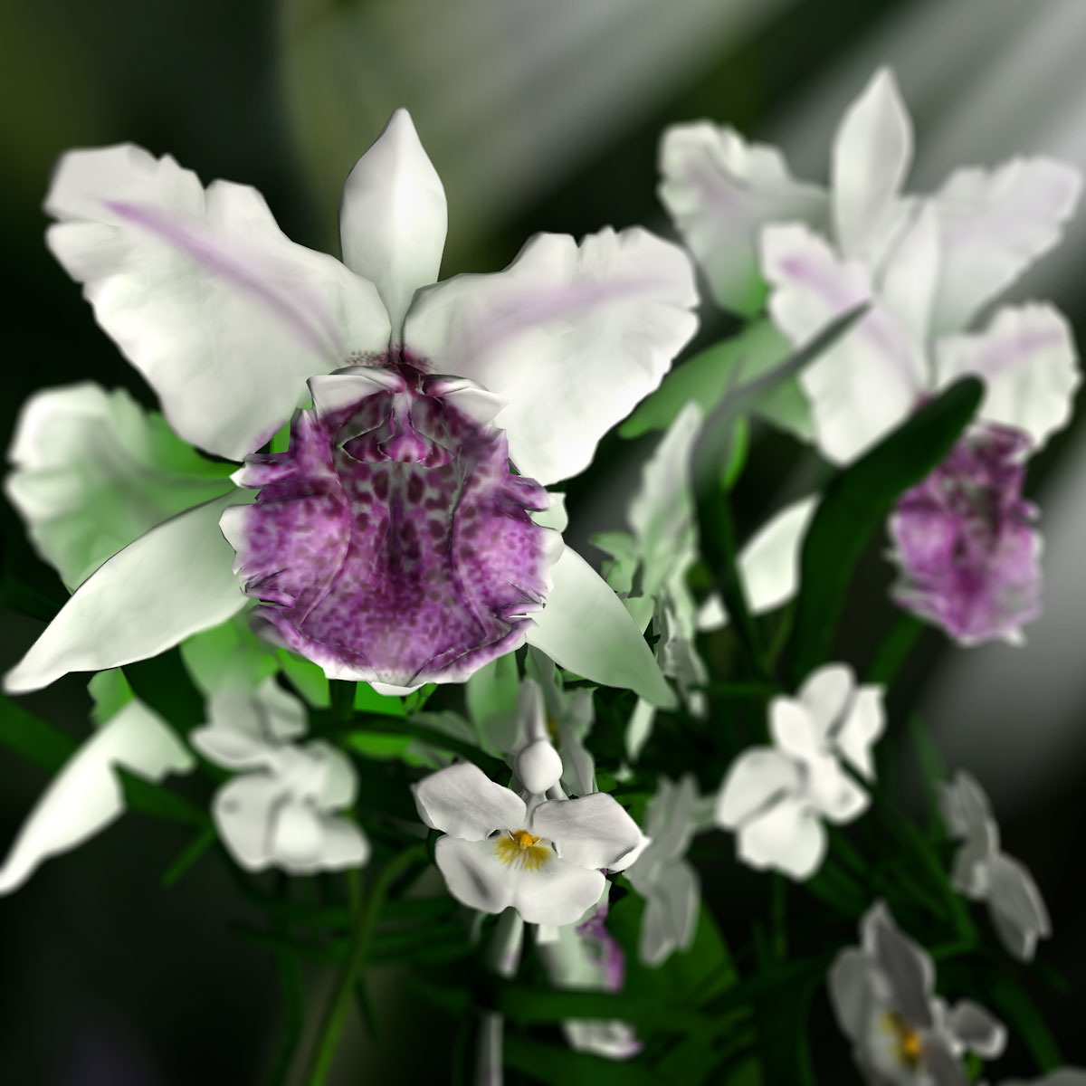 Orchid Cattleya by N/A
