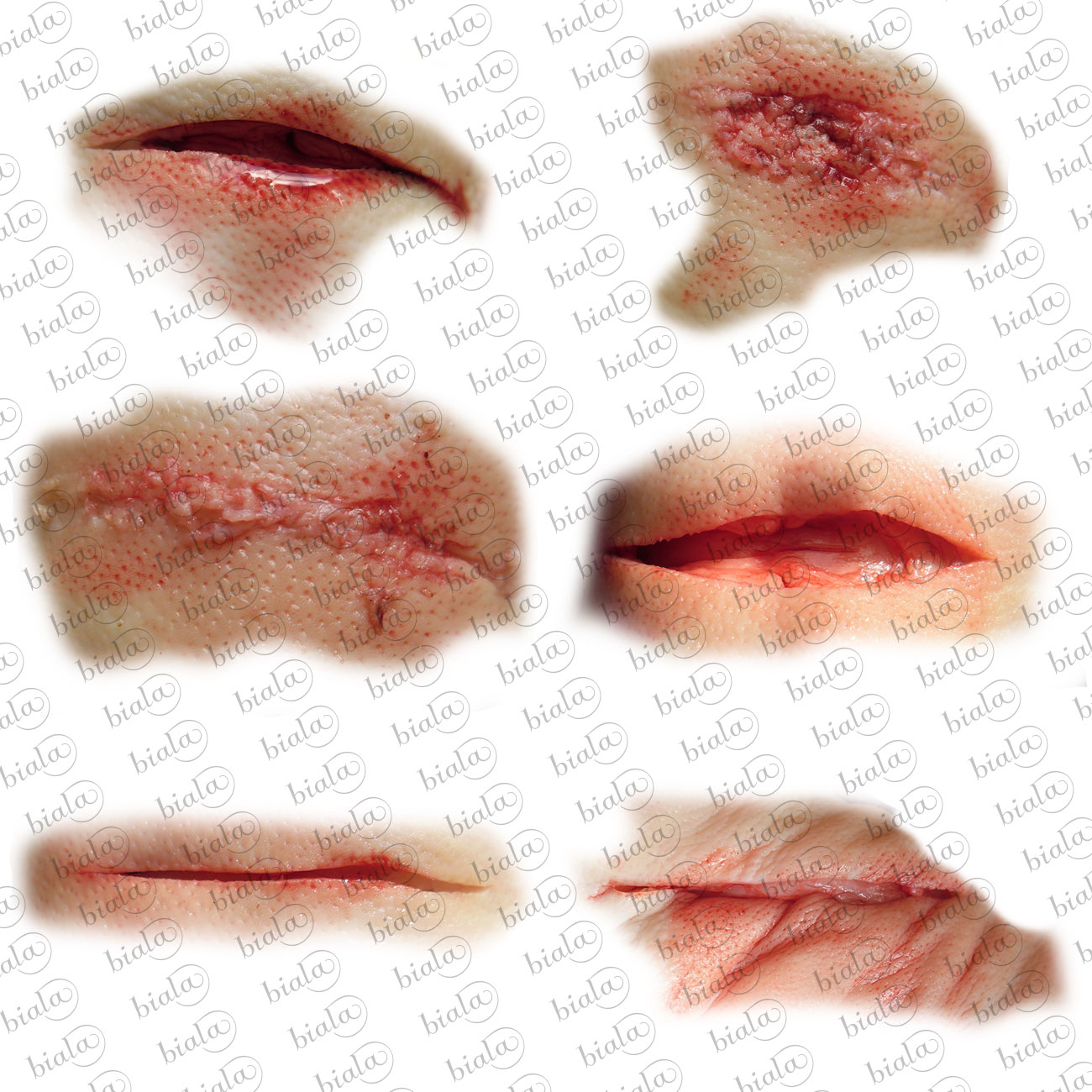 24 Fresh Wounds PS Layers by N/A