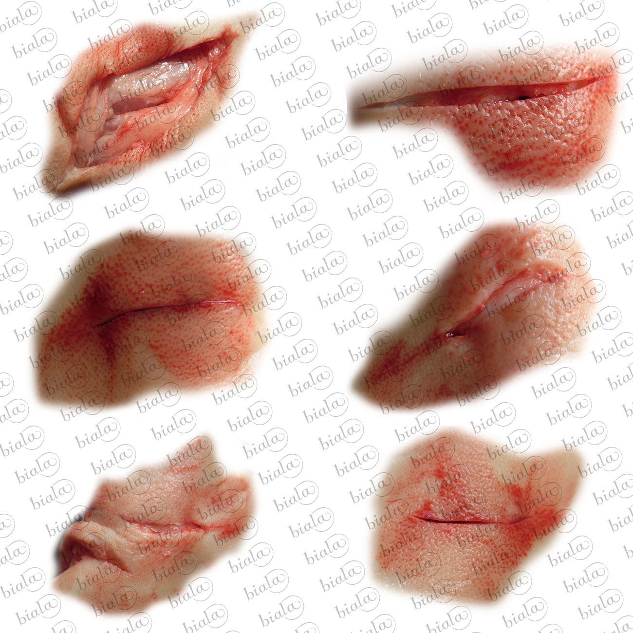 24 Fresh Wounds PS Layers by N/A