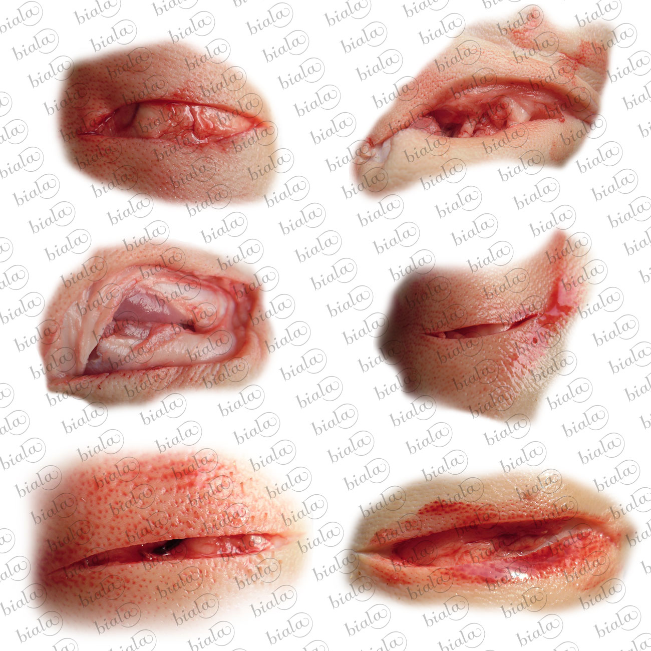 24 Fresh Wounds PS Layers by N/A