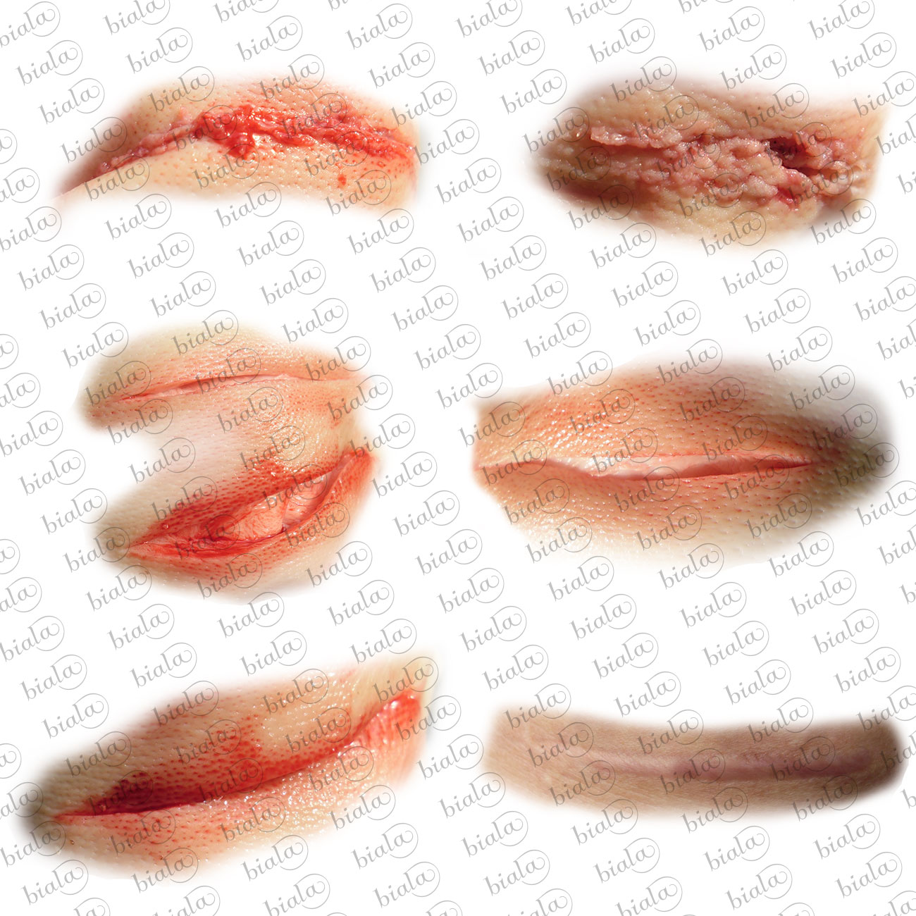 24 Fresh Wounds PS Layers by N/A