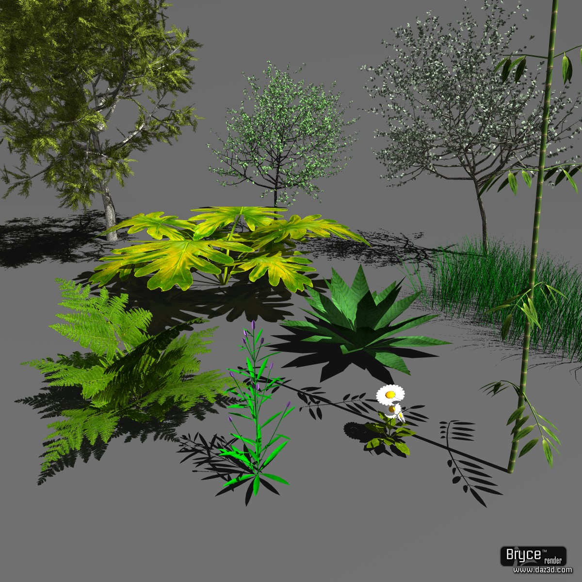 Plants Object format by N/A