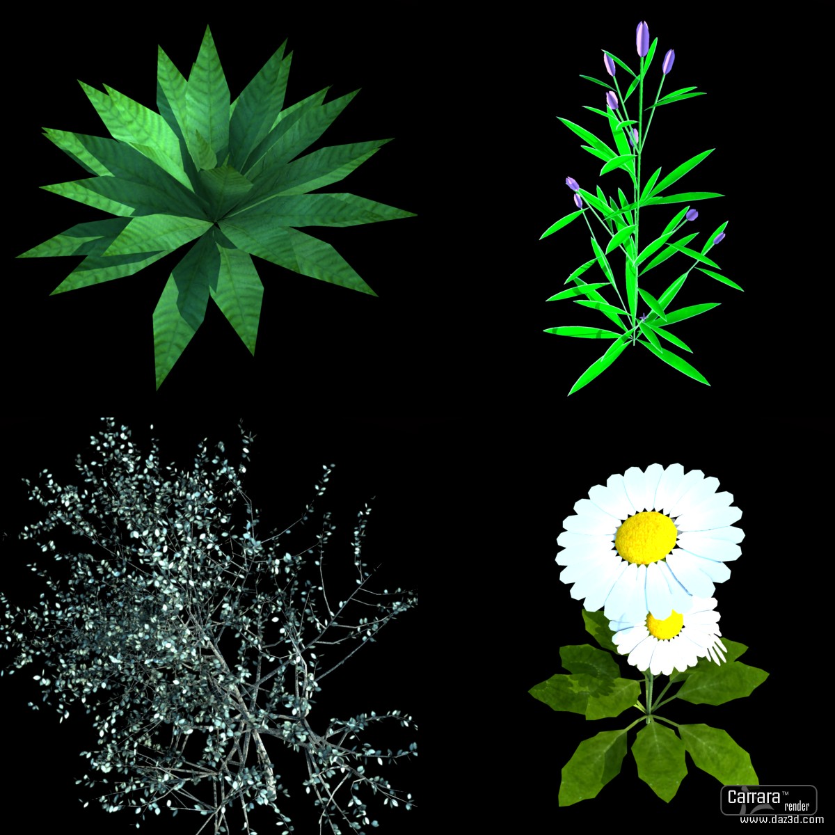 Plants Object format by N/A