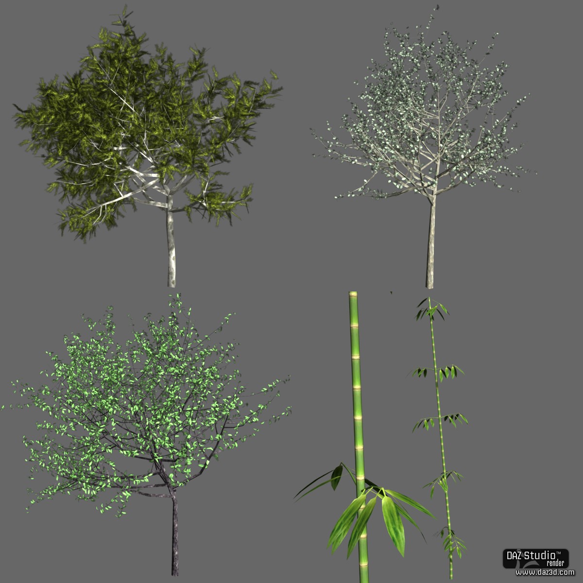 Plants Object format by N/A