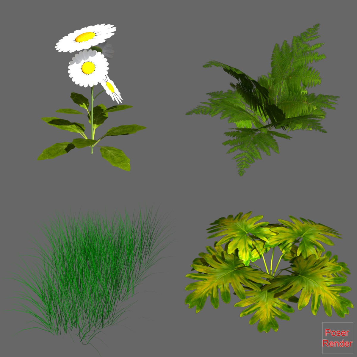 Plants Object format by N/A