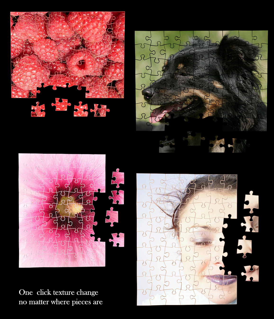 Puzzle Set One Click Photo Change by N/A