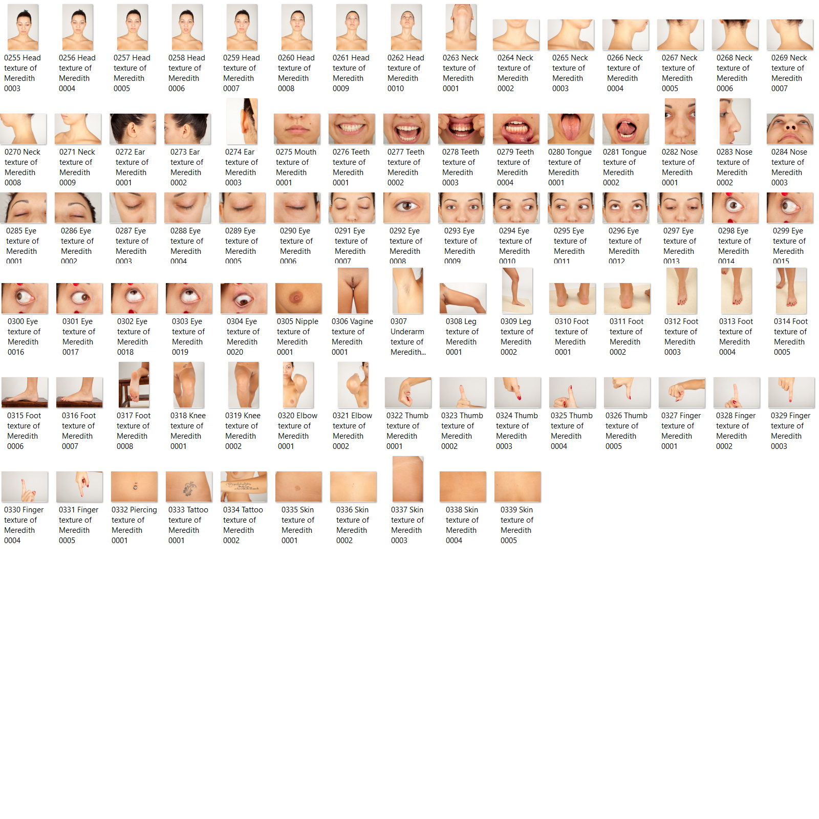 Meredith: Nude Female Full Figure Photo References by N/A
