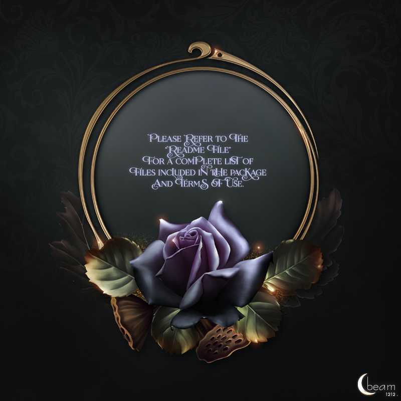 Moonbeam's Goth Bouquet by N/A