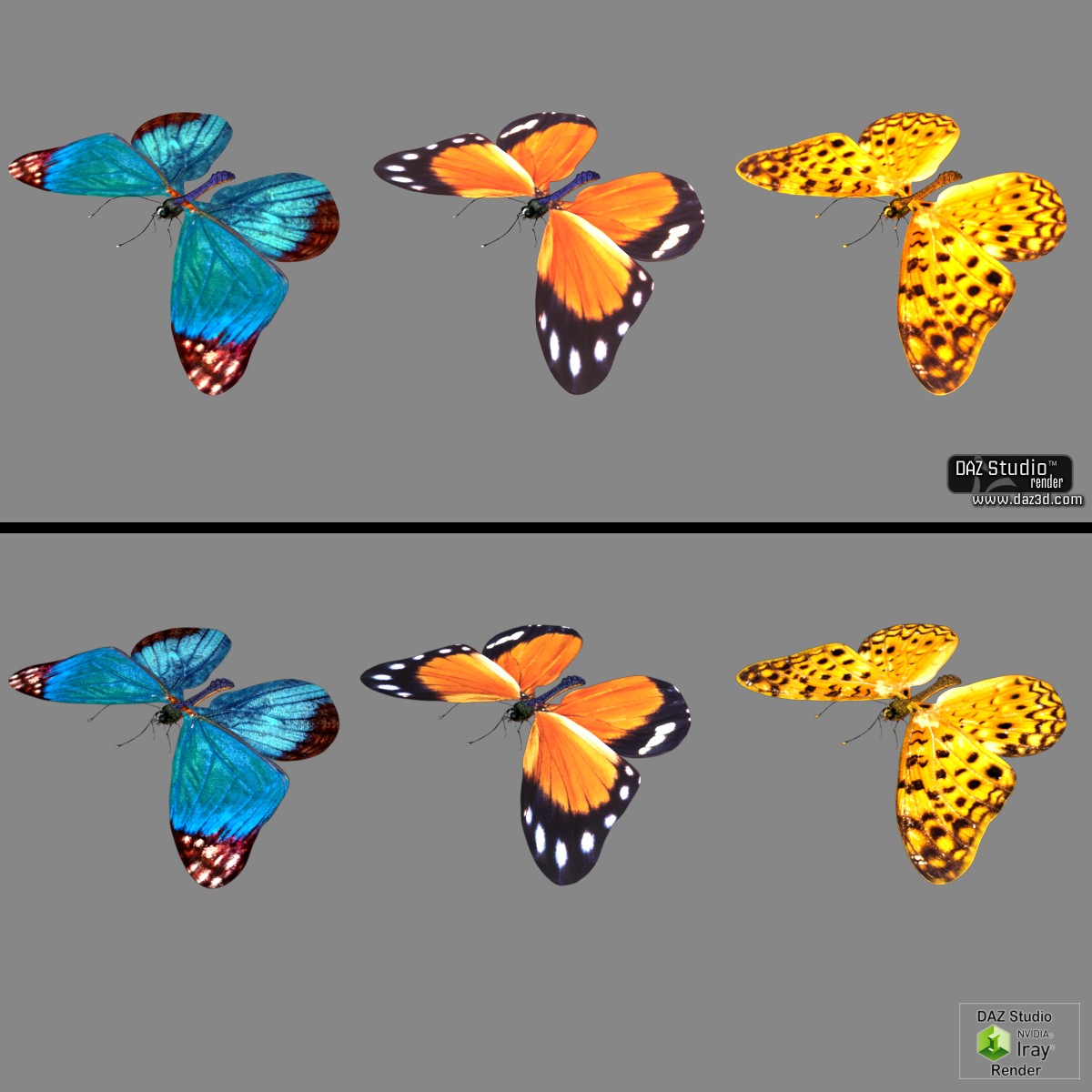 Butterfly by N/A