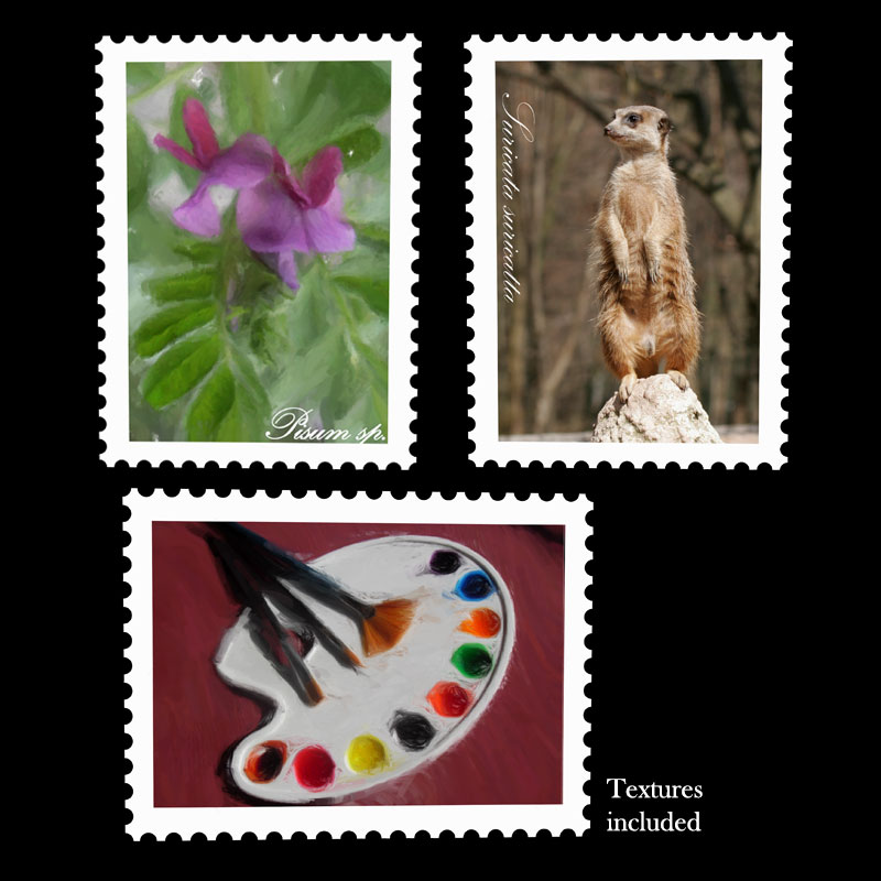 3D Stamps One Click Photo Change by N/A
