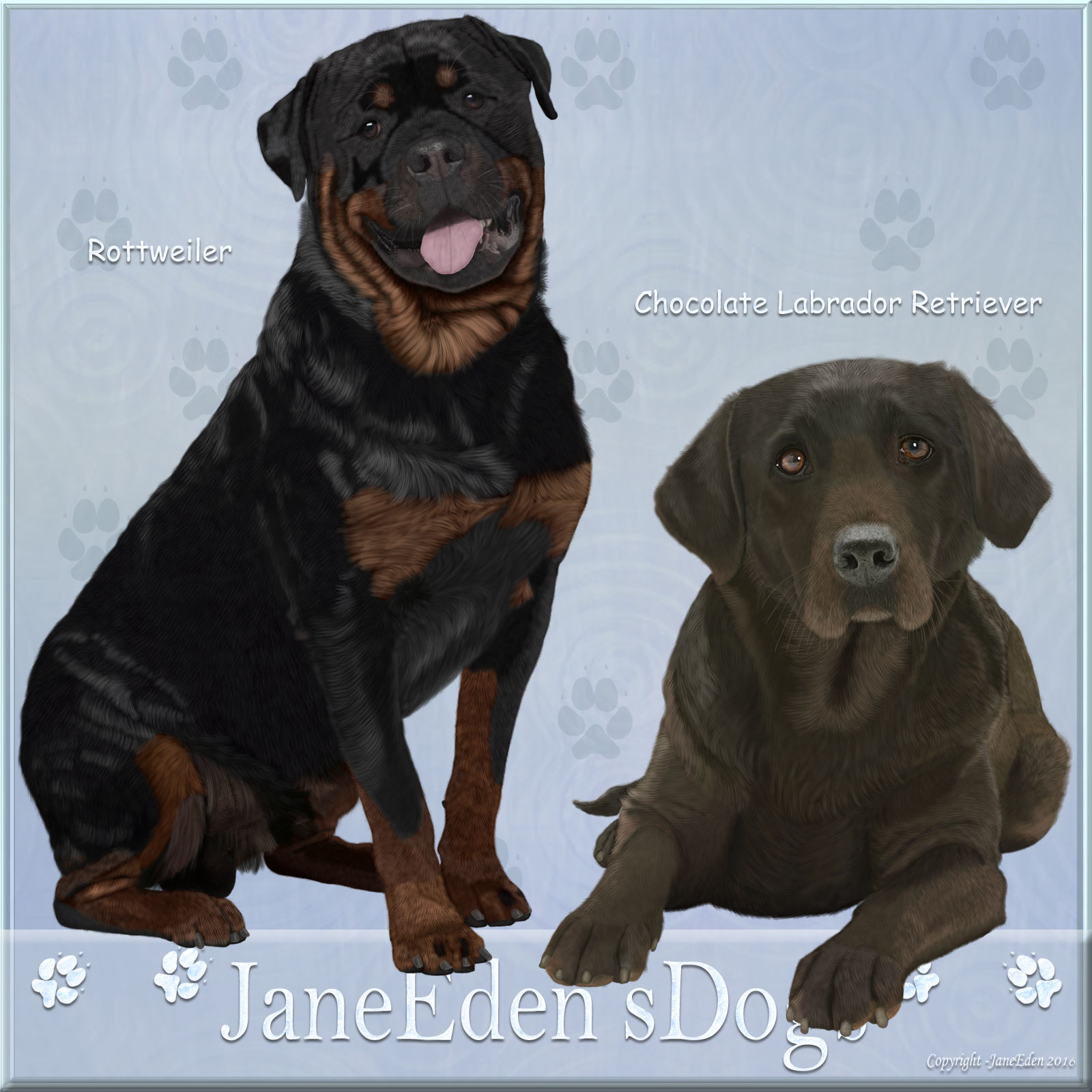 JaneEdens Dogs by N/A