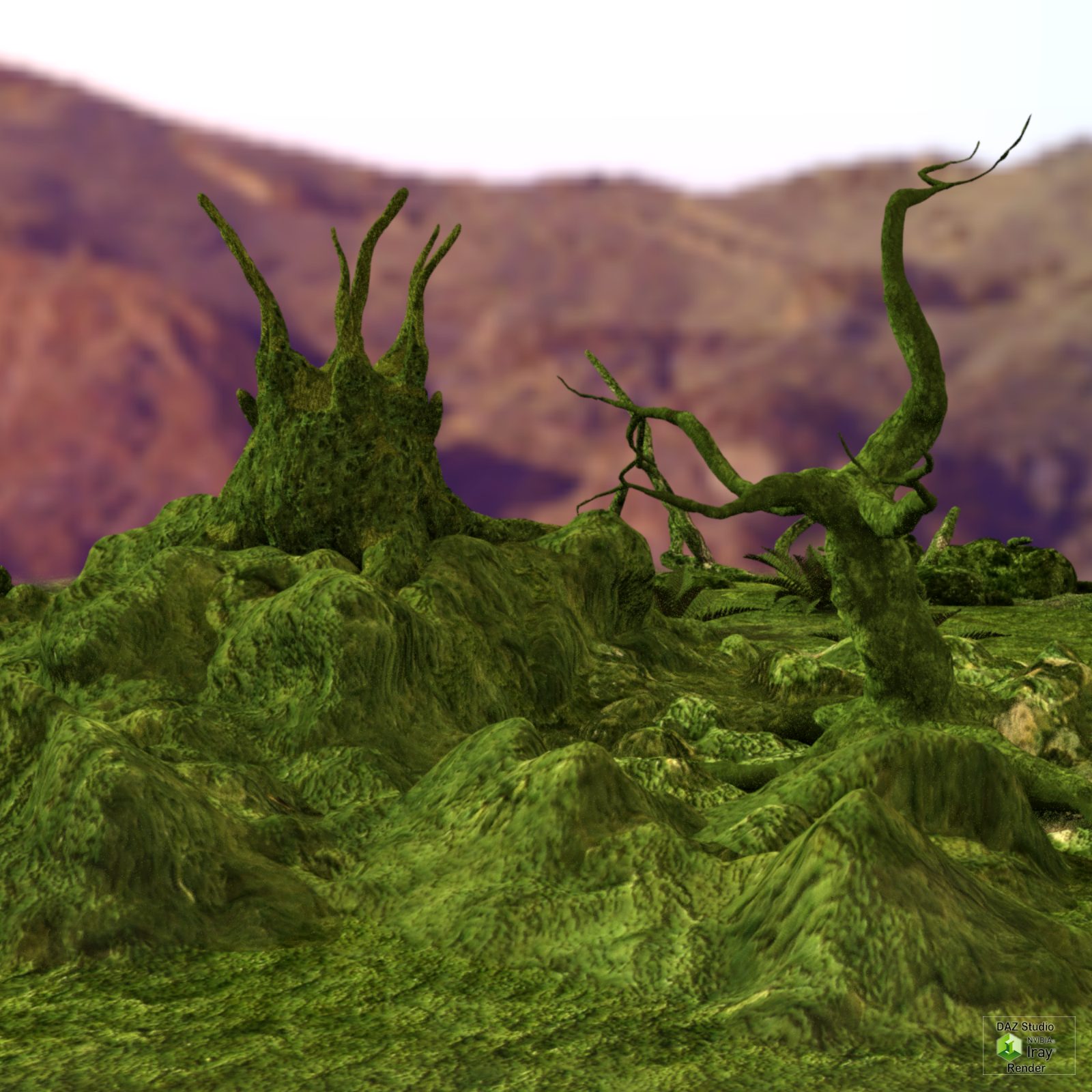 Swamp Tree by N/A