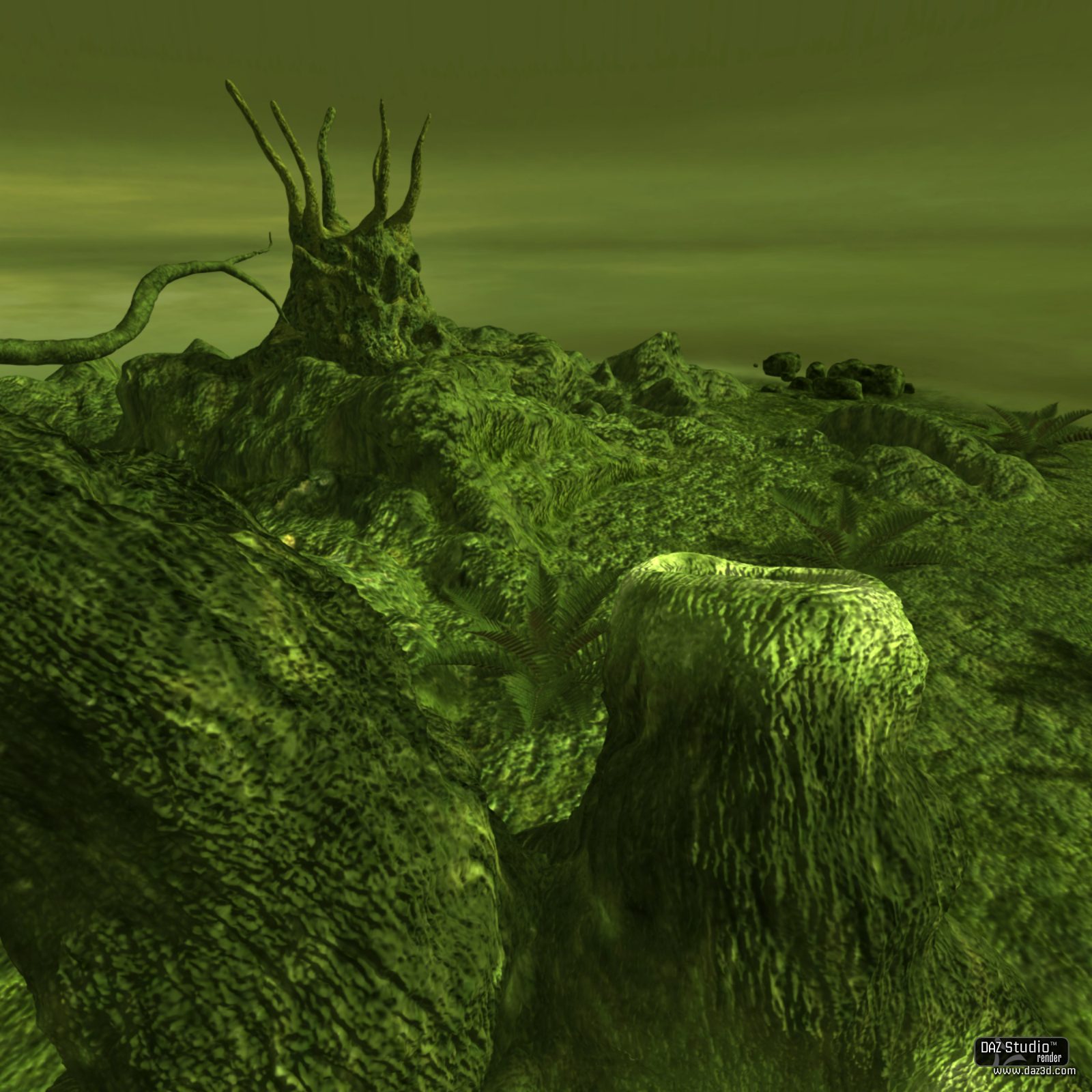Swamp Tree by N/A