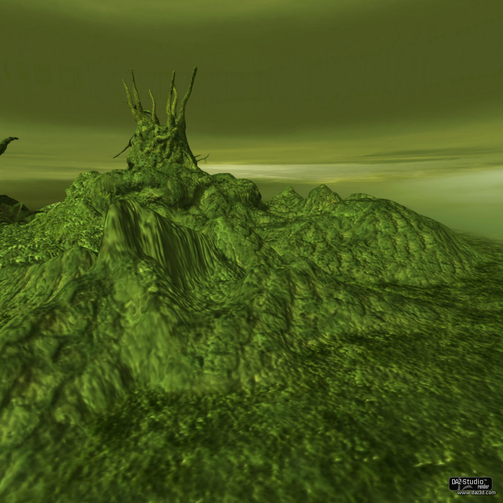 Swamp Tree by N/A
