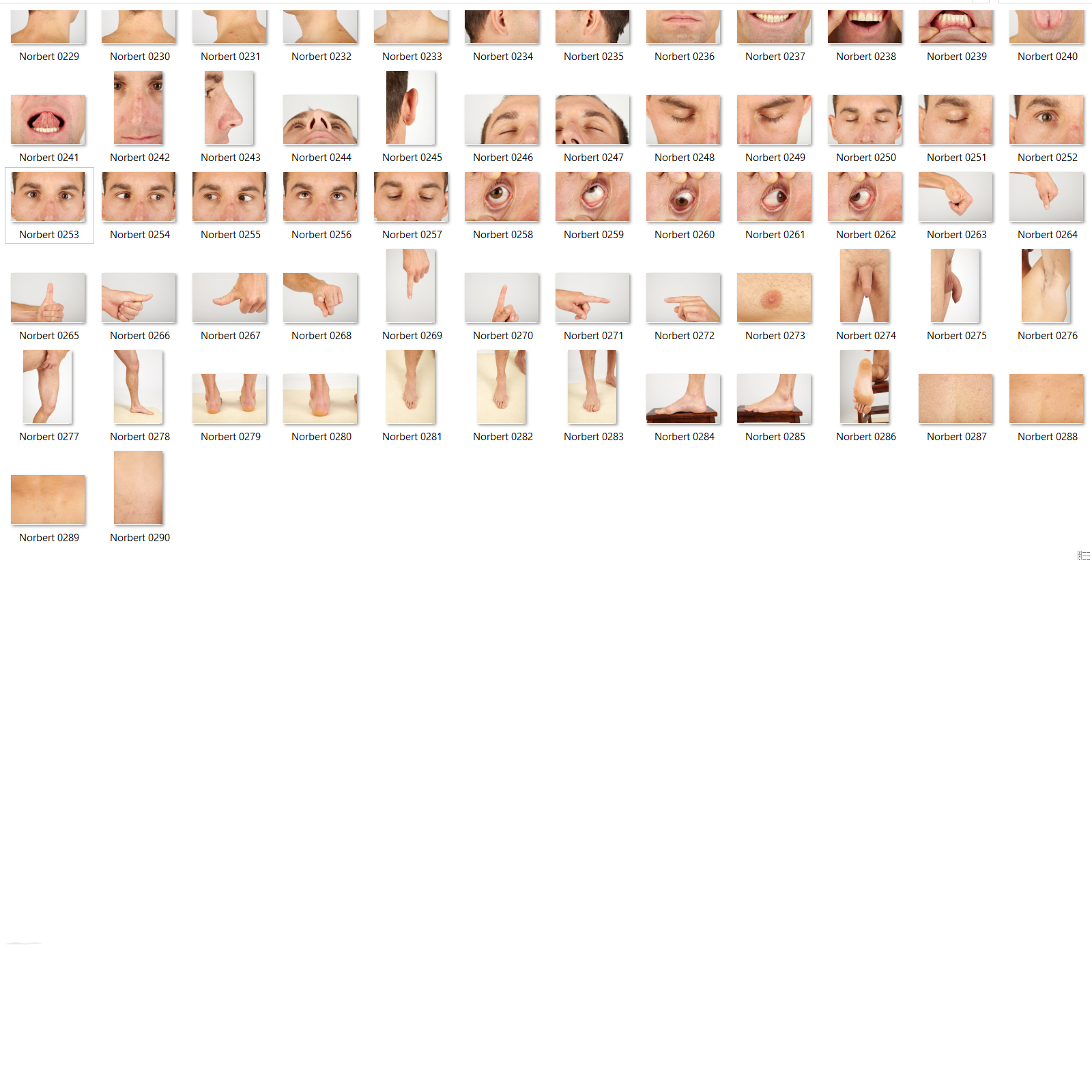 Norbert: Nude Male Full Figure Photo References by N/A