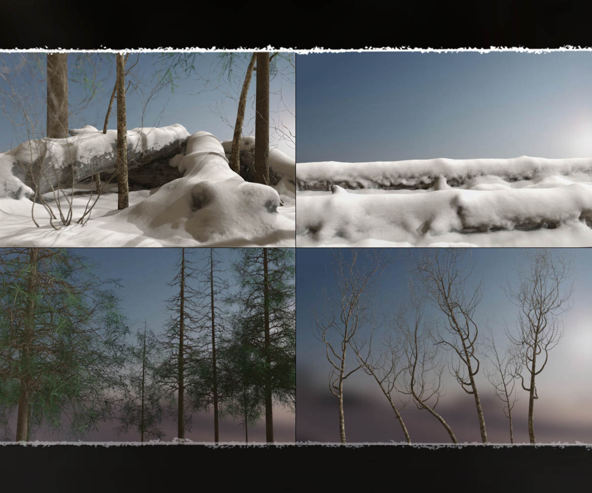 3D Scenery: Nordic Winter Woods by N/A