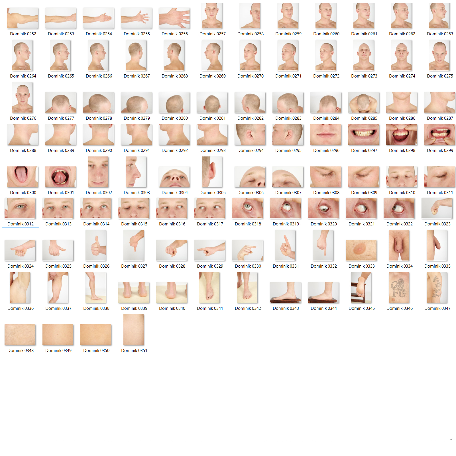 Dominik: Nude Male Full Figure Photo References by N/A
