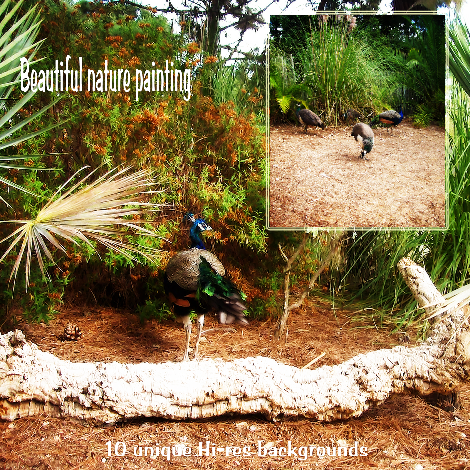Beautiful Nature Painting Backgrounds by N/A