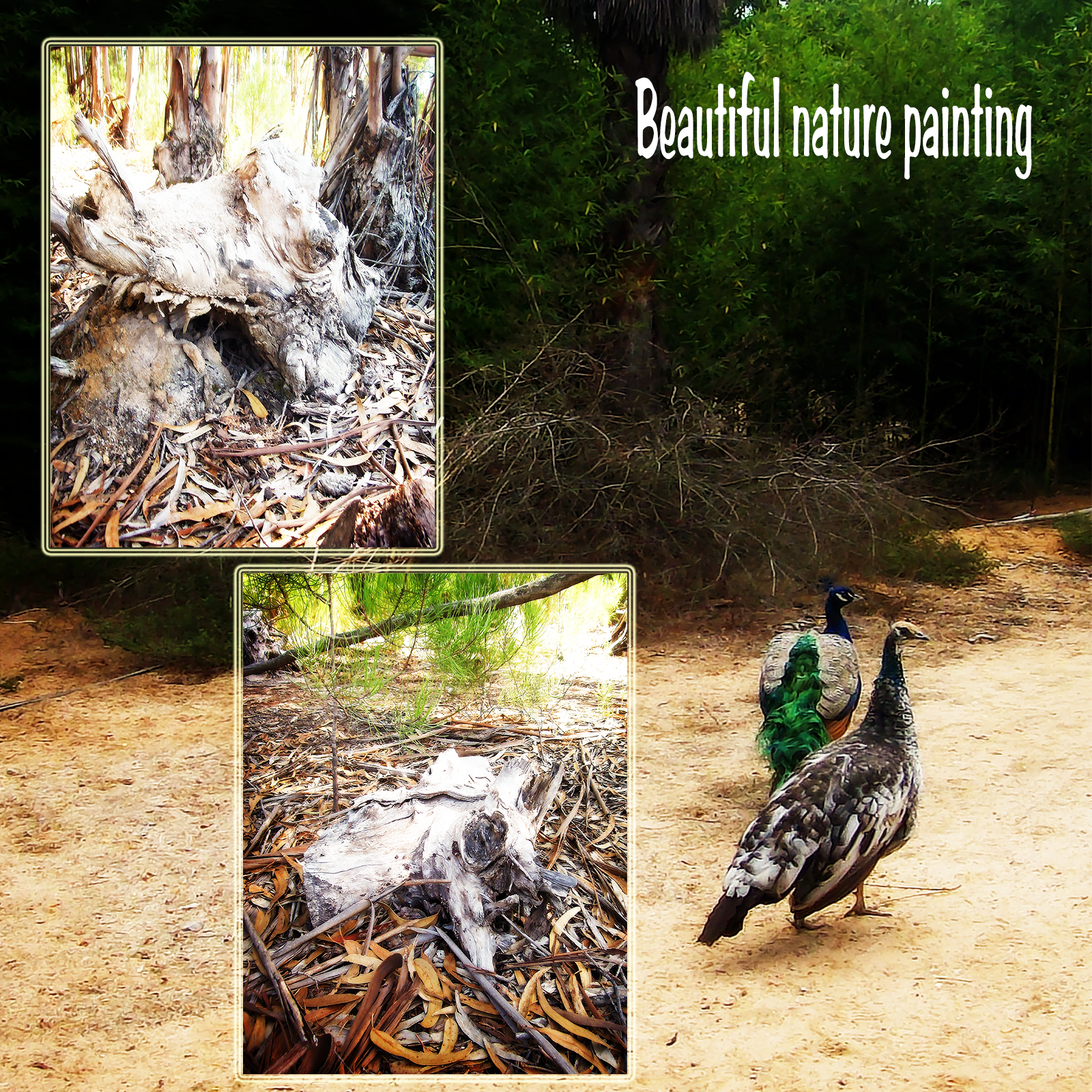 Beautiful Nature Painting Backgrounds by N/A