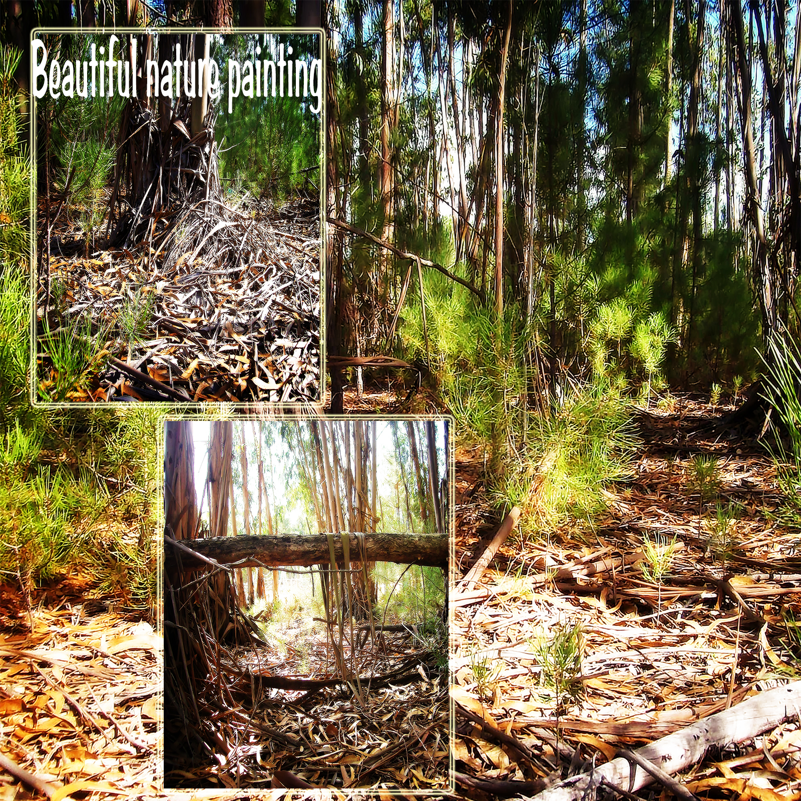 Beautiful Nature Painting Backgrounds by N/A