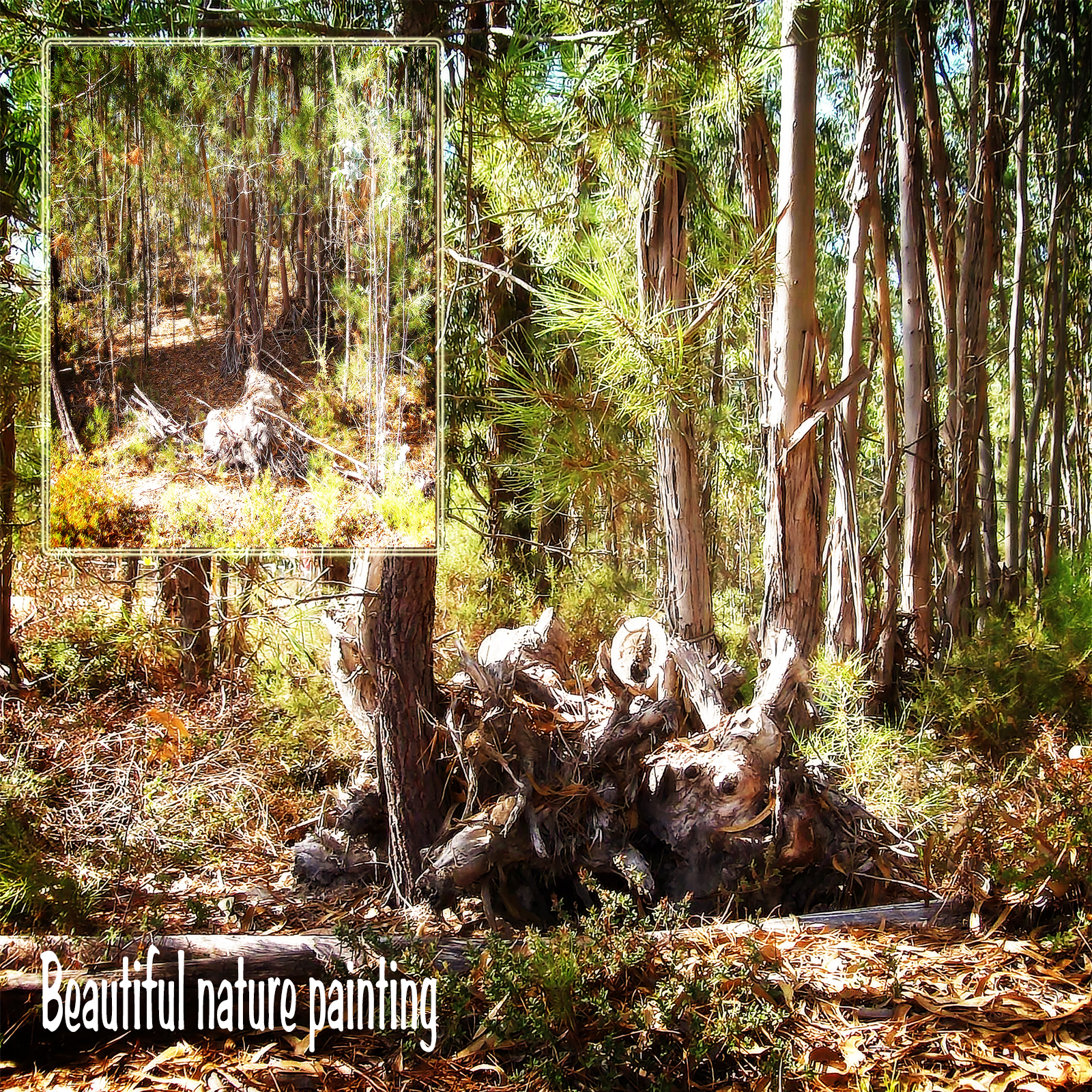 Beautiful Nature Painting Backgrounds by N/A