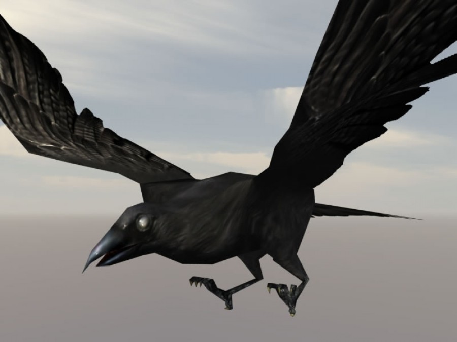 Birds - Extended License by N/A