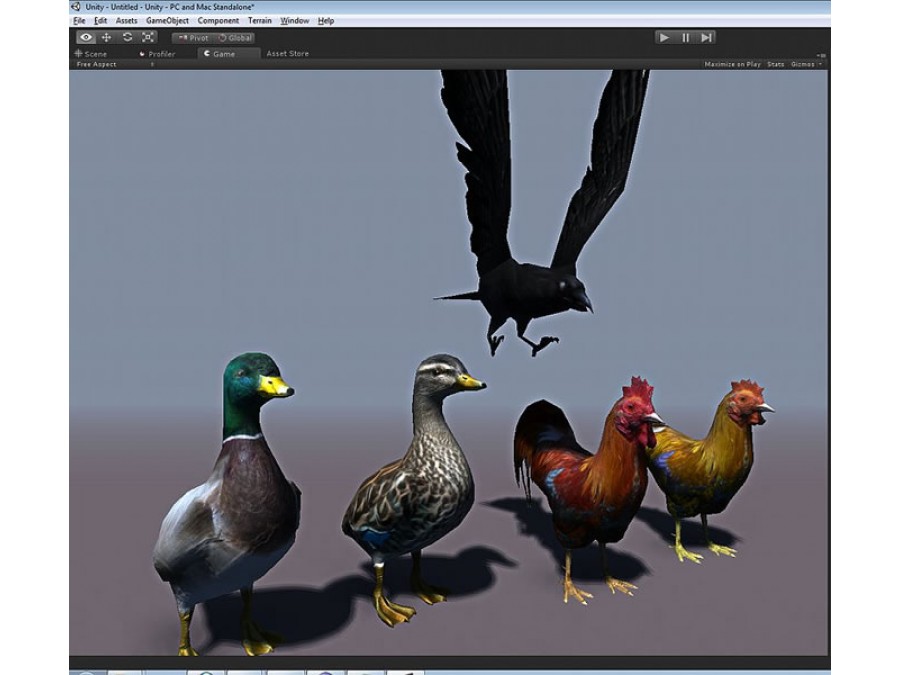 Birds - Extended License by N/A