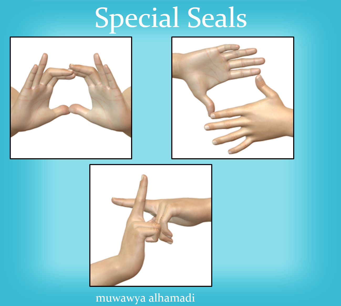 Ninja Hand Seals for G3 by N/A