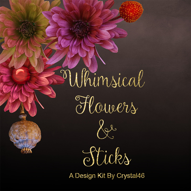 Whimsical Flowers and Sticks by N/A