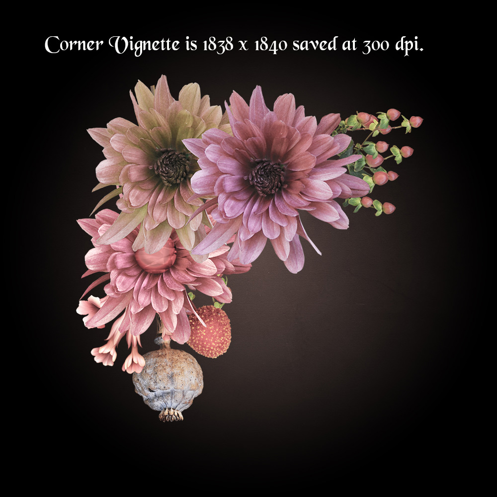 Whimsical Flowers and Sticks by N/A