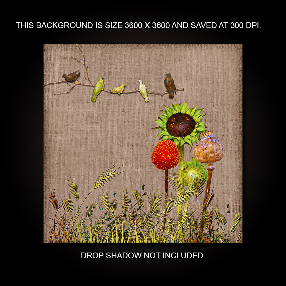 Whimsical Flowers and Sticks by N/A