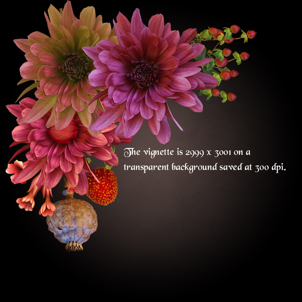 Whimsical Flowers and Sticks by N/A